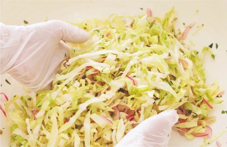 Fresh Cabbage Vinaigrette Salad